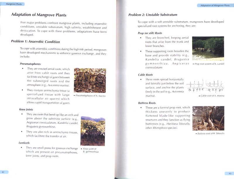 Hong Kong Mangroves - aus dem Buch
